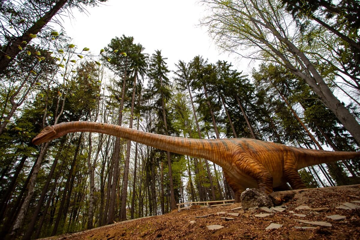 Seismosaurus Hallorum