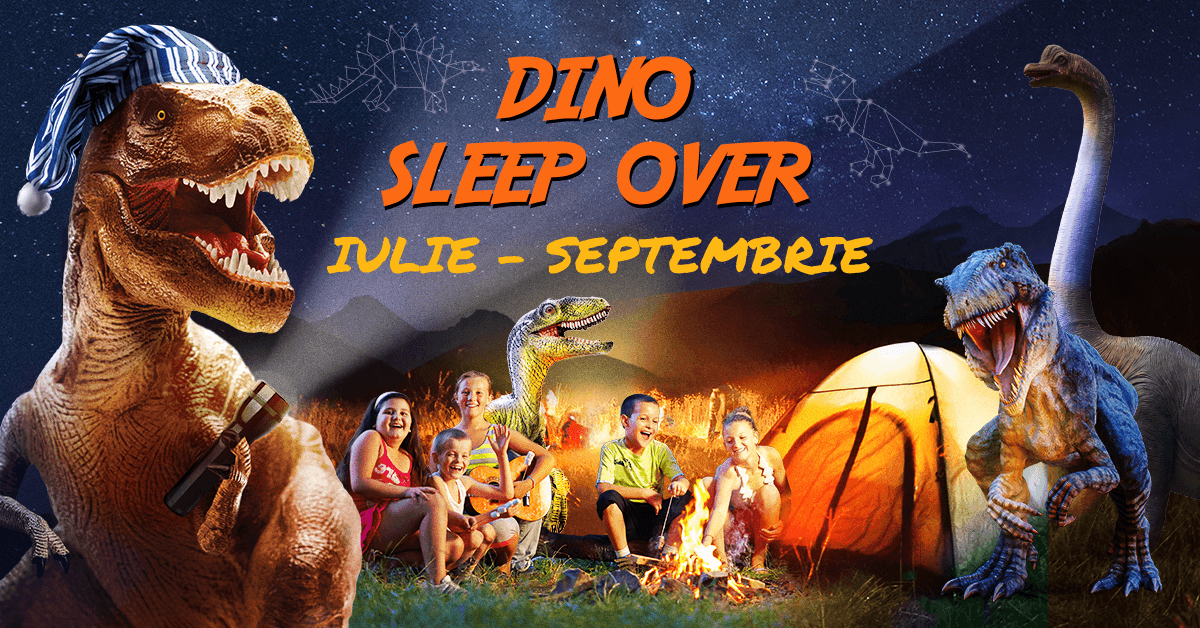 Dino Sleep Over