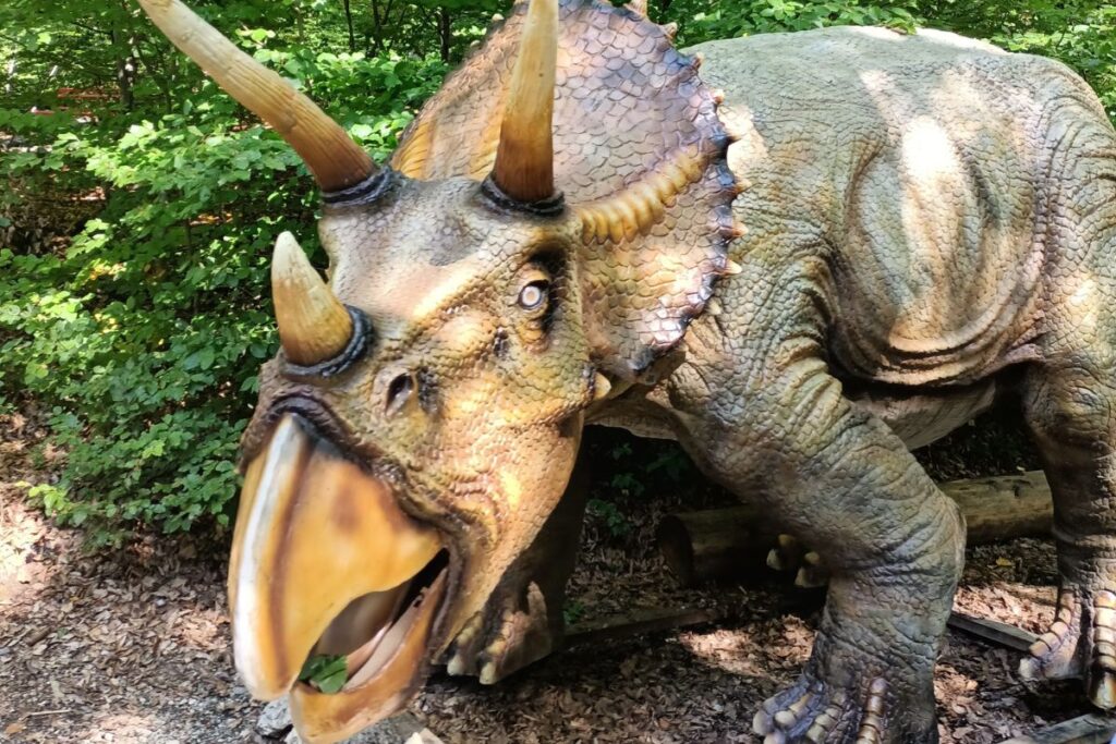Triceratops poate fi admirat la Dino Parc Râșnov