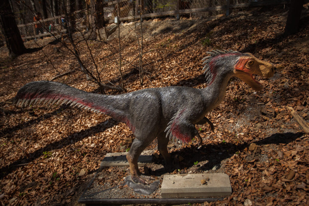 Velociraptor la Dino Parc Râșnov