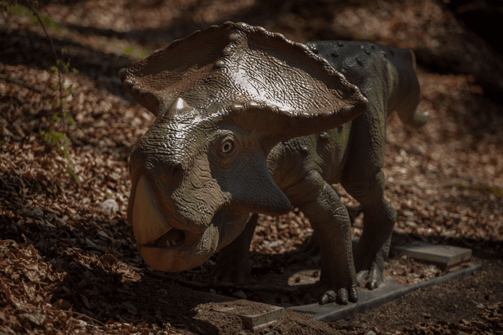Tot ce trebuie să știi despre dinozaurii erbivori